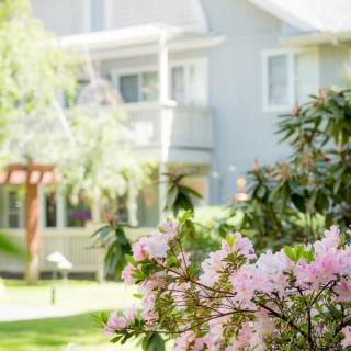 A charming house surrounded by a blooming garden in spring.
