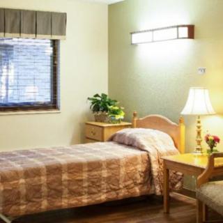 A cozy bedroom with a single bed, lamp, and potted plant near the window.