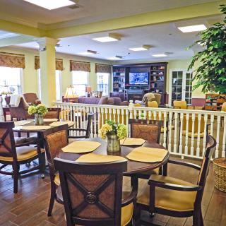 A cozy dining and lounge area with arranged tables and chairs, surrounded by bright decor and indoor plants.
