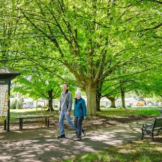 Two people walking in a lush green park under the shade of large trees.