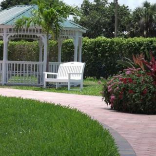 A peaceful garden scene with a gazebo and bench surrounded by greenery.