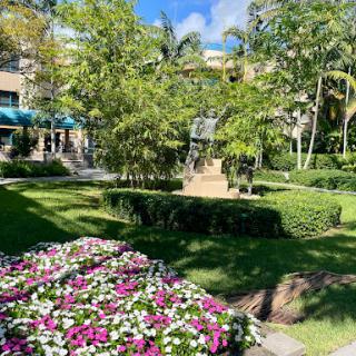 A vibrant garden filled with colorful flowers and lush greenery under a clear blue sky.