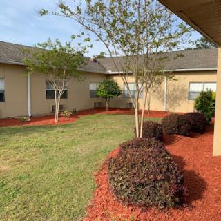 A well-maintained garden area featuring trees and shrubs, with freshly mulched soil.