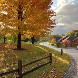 The Homesteader