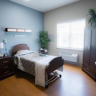 A well-lit hospital room featuring a neatly made bed, modern furniture, and a touch of greenery.