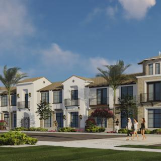 Modern residential housing development with palm trees and a clear blue sky.