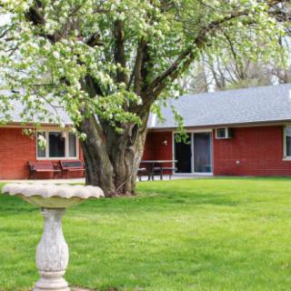 A peaceful garden with a large tree, red brick house, and birdbath.