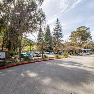 A parking lot surrounded by trees on a bright, sunny day.