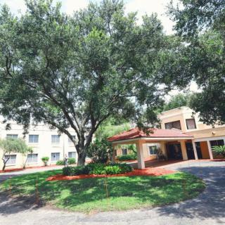 A large tree providing shade over the entrance driveway of a multi-story building.