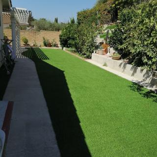 A backyard garden with a vibrant green lawn and a concrete pathway.