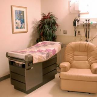 A medical examination room equipped with an examination table, a comfortable chair, a wall-mounted painting, and a potted plant.