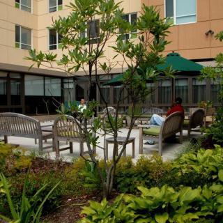 A well-maintained outdoor garden with seating areas and lush greenery next to a building.