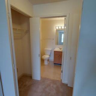 A view of a bathroom with an adjacent closet, featuring a sink, toilet, and mirror.