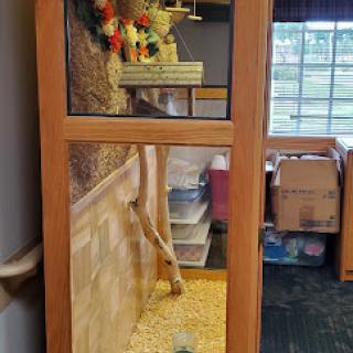 A beautifully designed enclosure showcasing a small wildlife habitat.