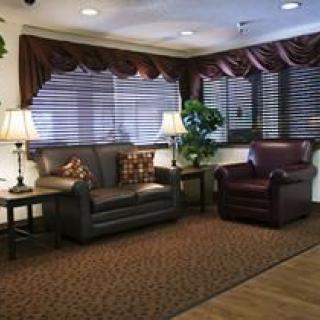 A cozy living room setting with a sofa, armchair, two lamps, and indoor plants.
