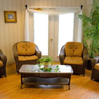 A cozy living room with four armchairs, a wooden coffee table, and a large potted plant next to a window.