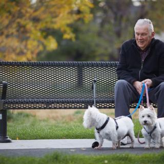 A man sits on a park bench with two small dogs on leashes during an autumn day.