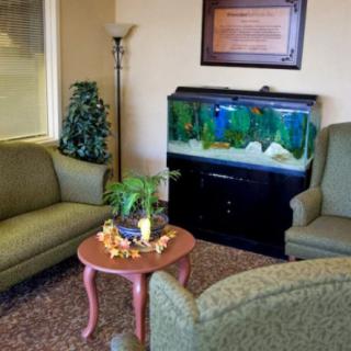 A cozy waiting room with sofas, an aquarium, and decorative indoor plants.