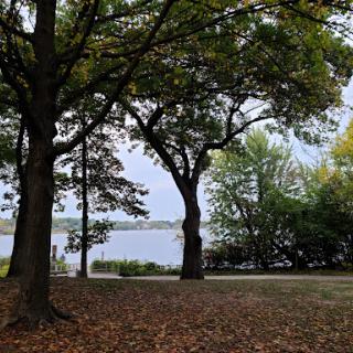 A serene view of a lake framed by trees, showcasing the beauty of nature in autumn.