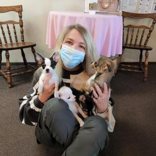A woman wearing a mask sits indoors holding multiple puppies and a kitten.
