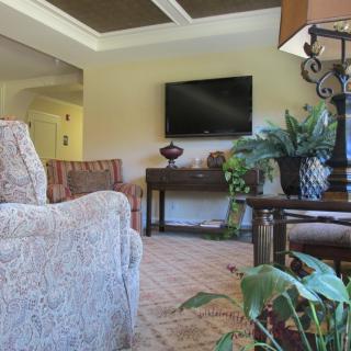 A cozy living room with a mounted TV, comfortable seating, and lush plants.