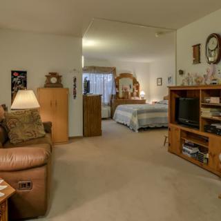 A cozy living space featuring a combined living room and bedroom with comfortable furniture and homey decor.
