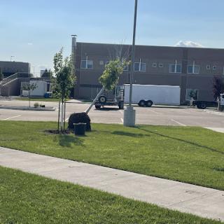 A view of a grassy area with trees and a sidewalk in front of a building.