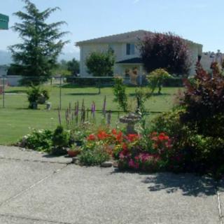 A beautiful garden with colorful flowers in front of a house on a sunny day.