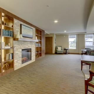 A modern living room with a fireplace, built-in bookshelves, and a carpeted floor.