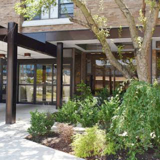 The inviting entrance of a modern building surrounded by lush landscaping.