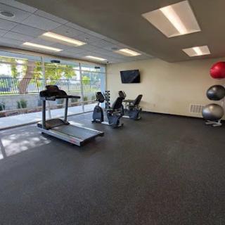 A well-lit gym equipped with a treadmill, exercise bikes, and weights, offering a view of the outdoors.