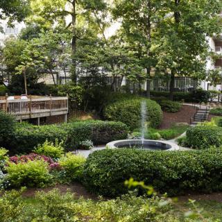 A serene garden with a fountain surrounded by lush greenery and trees.