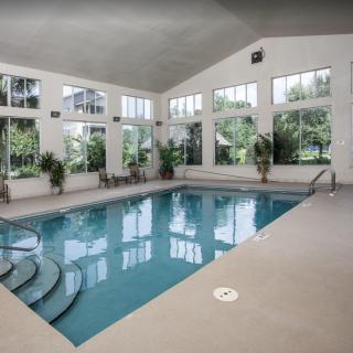 A serene indoor swimming pool surrounded by large windows and greenery.