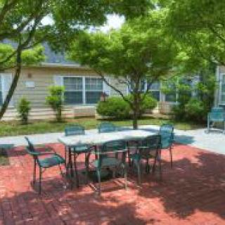 A sunny outdoor patio area with a table and chairs surrounded by trees.