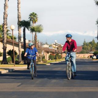 Two people cycling on a palm tree-lined street.