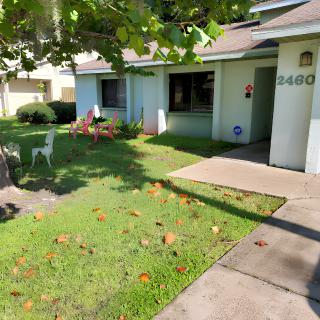 A sunny front yard with a small house and well-maintained grass.