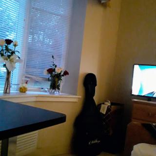 A cozy room featuring a table, a TV, and decorative flowers by the window.