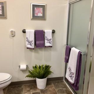 A neatly arranged bathroom with purple and white towels, a potted plant, and framed pictures.