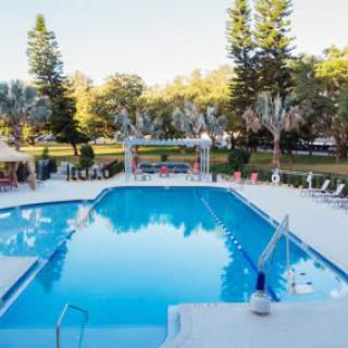 A tranquil outdoor swimming pool surrounded by trees and lounge chairs.