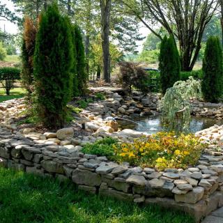 A serene garden featuring a stone-bordered pond with lush greenery and flowering plants.