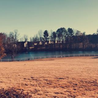 A serene landscape featuring a calm river bordered by trees and open grassy fields, bathed in warm sunlight.