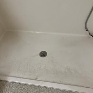 An empty shower stall with a visible drain.