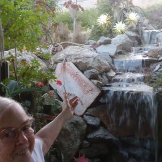 A person with glasses holding a book near a waterfall surrounded by plants.