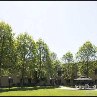 A serene outdoor setting featuring lush green trees and a well-maintained lawn around a building.