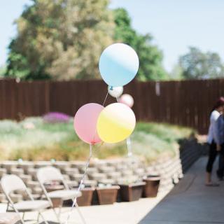 A cheerful display of pastel balloons floating in the sun, adding a festive touch to an outdoor gathering.
