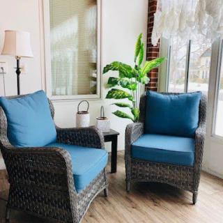 A stylish corner in a living room featuring comfortable blue chairs and a vibrant plant.
