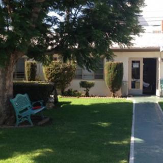 A peaceful garden area with a bench, trees, and a building entrance.