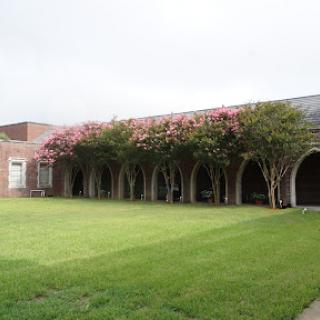 A serene courtyard featuring a beautiful building with flowering trees and a well-maintained lawn.
