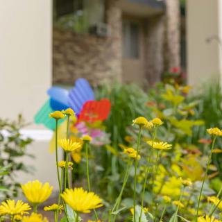 A vibrant garden with yellow flowers and a colorful pinwheel in the background.