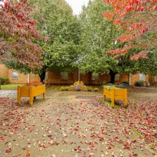 A serene garden path surrounded by trees adorned with vibrant autumn leaves.